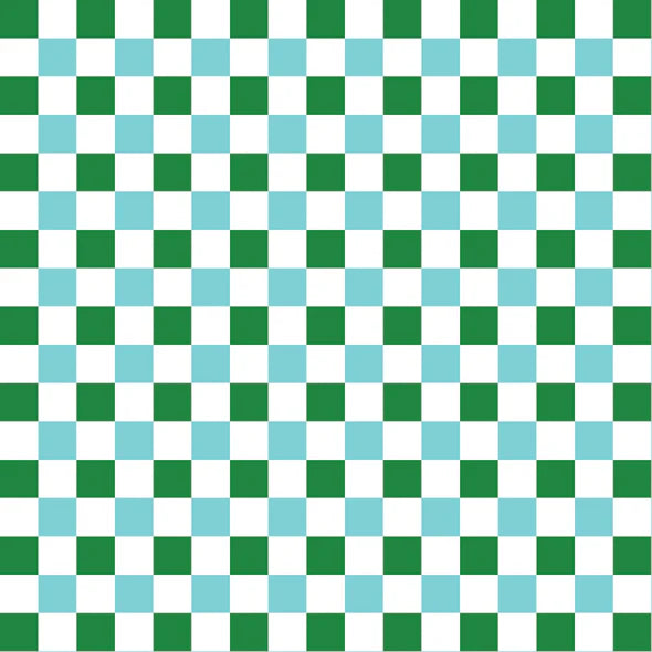 Checkers ~ Zip Pouch